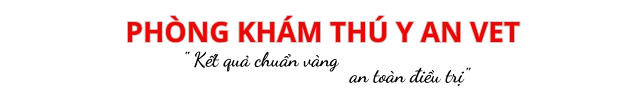 PHÒNG KHÁM THUÝ Y BÁC SĨ THUÝ 